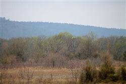 A creek landscape in Pittsburg County, Oklahoma, with surrounding natural scenery, part of the Onlinelandsales property listing.