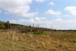 Aerial view of 5.01-acre Daisy Meadows property in Pittsburg County, Oklahoma, featuring open land and surrounding nature.