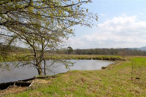 A 5.16-acre land parcel in Pittsburg County, Oklahoma with a pond and electricity, perfect for building or recreation.