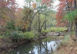 19.56-acre Oklahoma Pittsburg County Indian Ridge III land with creek and electricity, showing natural landscape and property boundaries.