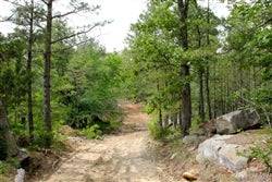 Aerial view of a 12.97-acre Trophy Ridge property in Pushmataha County, Oklahoma, with wooded land and open clearings.