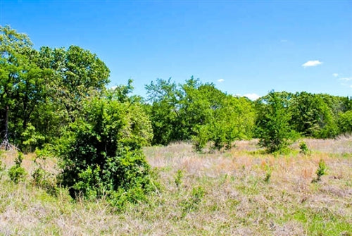 Oklahoma, Okfuskee County, 14.2 Acre Saddlebrook Ranch. TERMS $400/Month