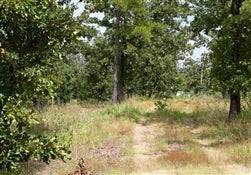Aerial view of Oklahoma Pushmataha County 8.1-acre lake view private reserve with lush greenery and surrounding natural landscape.