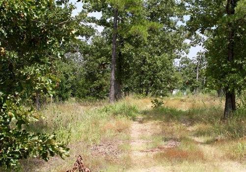 Lake view of Oklahoma Pushmataha County private reserve with 2.71 acres and electricity, showcasing scenic natural landscape.