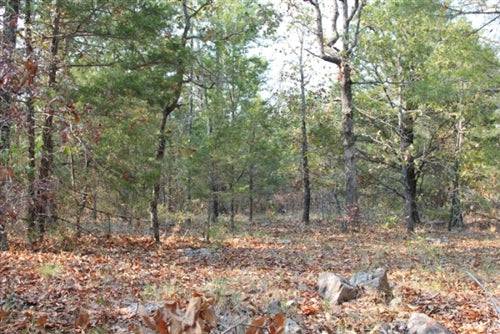 Scenic view of Oklahoma Pushmataha County Lake View Ranch with trees and open land, showcasing the rural property landscape.