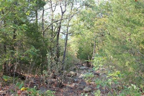 Scenic view of Oklahoma Pushmataha County 5.38-acre lakefront ranch with lush landscape and open sky.