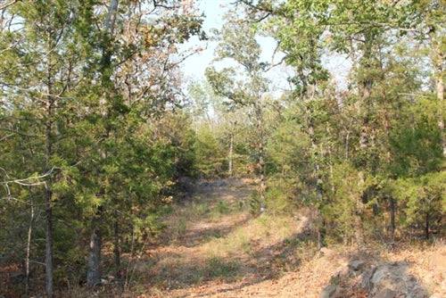 14.85-acre Lake View Ranch in Pushmataha County, Oklahoma, with scenic natural landscape and wooded areas.