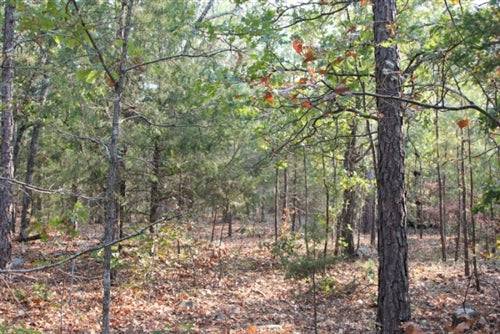Scenic view of Oklahoma Pushmataha County Lake View Ranch with open land and trees, ideal for outdoor living and ranching.