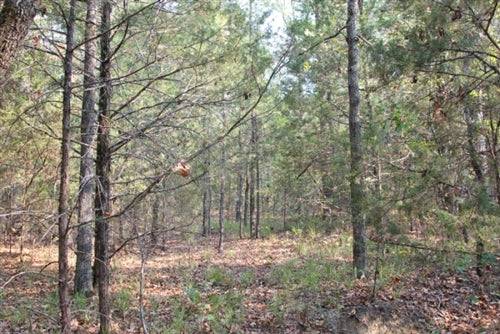 Scenic view of Pushmataha County Lake View Ranch in Oklahoma, featuring lush landscape and a tranquil lake setting.