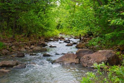Oklahoma, Pushmataha County, 9.94 Acres Creek Lot with CABIN and Electricity, Lake View Ranch. TERMS $800/Month