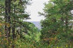 Oklahoma Pushmataha County 14.25-acre Trophy Ridge II land parcel with wooded terrain, shown from a scenic angle.