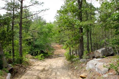 Aerial view of Oklahoma Trophy Ridge land in Pushmataha County, showcasing 16.14 acres of wooded acreage for sale.