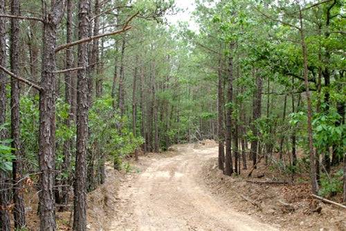 15.1-acre Trophy Ridge II property in Pushmataha County, Oklahoma, shown with scenic landscape and rolling terrain.