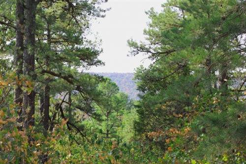 Aerial view of Oklahoma Trophy Ridge property in Pushmataha County, showing wooded 20.2-acre land for sale.