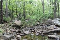 Aerial view of Oklahoma Trophy Ridge III 3.02-acre property in Pushmataha County, with trees and open land.