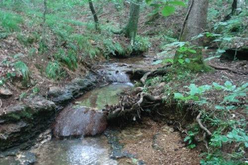 Aerial view of Sugartree Falls in Wayne County, Tennessee, showing lush 5.25-acre land parcel on Sugartree Falls with surrounding forest.