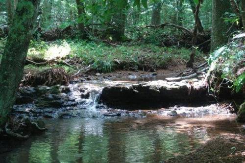 Aerial view of Sugartree Falls property in Wayne County, Tennessee, featuring 14.65 acres of wooded land with scenic waterfalls.