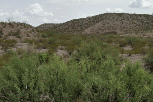 Texas, Presidio County, 1.00 Acre Orient Addition, Lot 8 Block 7. TERMS $63/Month
