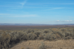 Aerial view of 40-acre land in Presidio County, Texas, showing Tract 4 of Section 9, NE quarter of NE quarter, on Onlinelandsales site