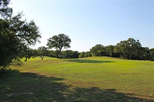 A scenic view of Bastrop County, Texas with lush greenery and trees at Tahitian Village Resort, land lot for sale.