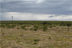 Texas, Hudspeth County, 4.75 Acres La Hacienda Estates , Lot 676. TERMS $76/Month