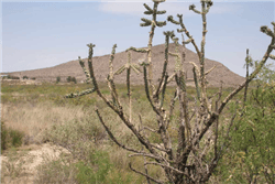 Aerial view of a 5.29-acre Sierra Blanca lot in Hudspeth County, Texas, showing open land and surrounding desert terrain.