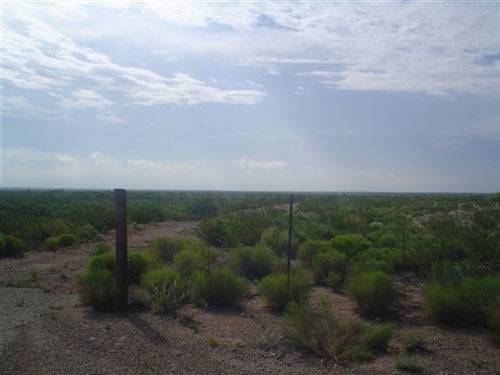 Aerial view of Texas Reeves County 30-acre land parcel offered by Onlinelandsales, showing open desert terrain and sparse vegetation.