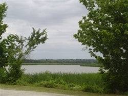 Texas Trinity County Trinity Forest land with trees and natural landscape, offered by Onlinelandsales.