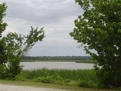 Scenic view of Trinity Forest in Trinity County, Texas, featuring lush trees and natural landscape.