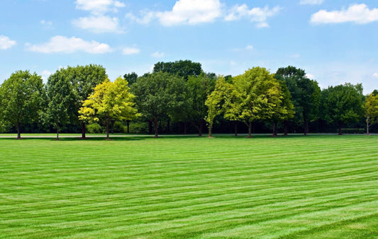 Buying Land Online