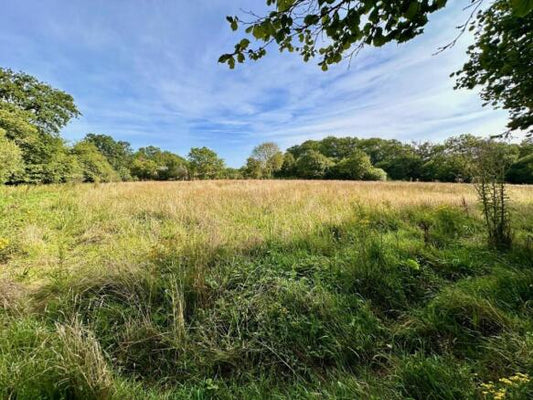 Land Seller Near Me