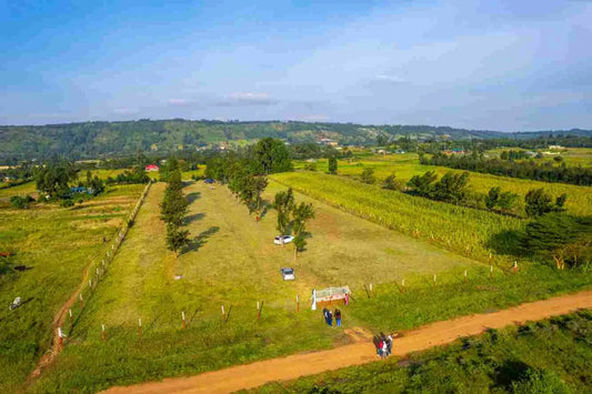 Online Land Sales in Missouri