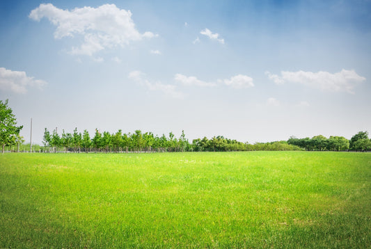 Sell Land Online