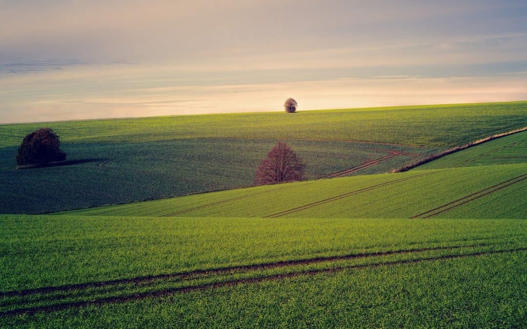 Sell Land Online