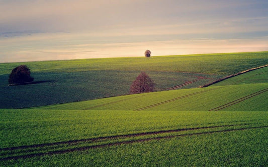 Sell Land Online