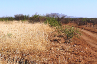 Arizona, Cochise County, 0.19 Acres Cochise College Park #11, Lot 5250. TERMS $45/Month