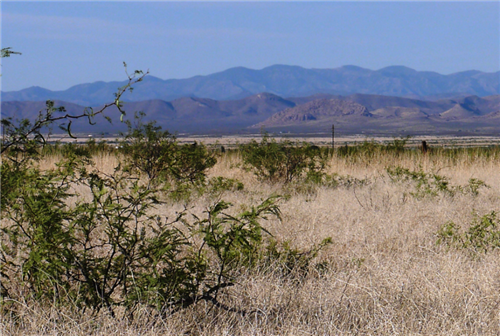 Arizona, Cochise County, 0.27 Acres Cochise College Park #2, Lot 982. TERMS $0 DOWN $43/Month