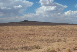 Arizona, Navajo County, 1.25 Acres Sun Valley, Lot 14 Rancho #73. TERMS $42/Month