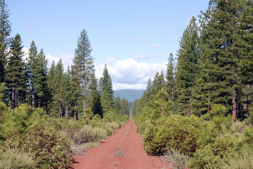 California, Shasta County,  10 Acres Montgomery Creek, PARCEL 2 OF LOT 10 IN SECTION 5, TOWNSHIP 35 NORTH, RANGE 2 WEST. TERMS $406/Month