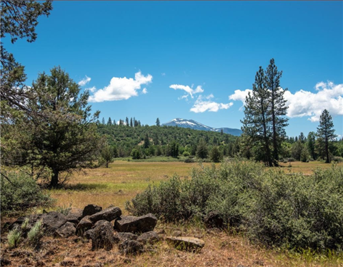 California, Shasta County,  10 Acres Montgomery Creek, S 1/2 OF LOT 10 IN SECTION 5, TOWNSHIP 35 NORTH, RANGE 2 WEST. TERMS $406/Month