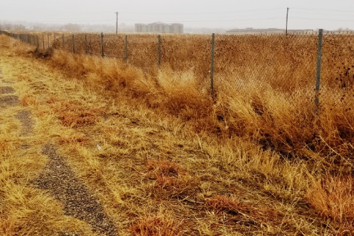 Colorado, Pueblo County,  0.21 Acres Colo City Lot 299 Unit 31.  TERMS $62/Month