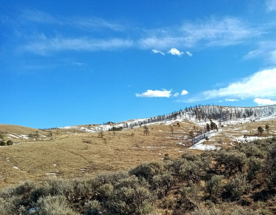 Sangre De Cristo Ranches Lot 4883 property photo