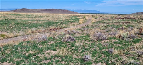 Colorado, Conejos County, 30 acres East of Manassa.  TERMS $547/Month