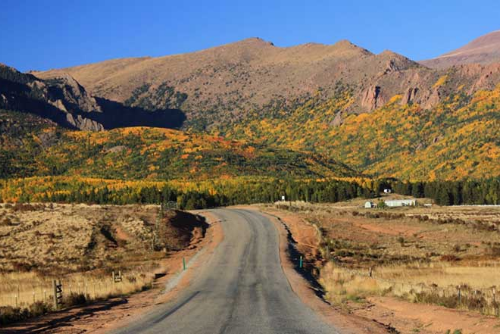 Colorado, Teller  County,  1.27 Acres Cripple Creek Lot  29, Electricity and Water.  TERMS $224/Month