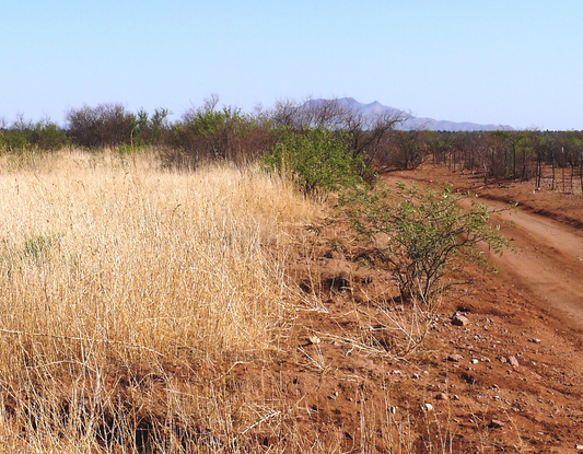 Arizona, Cochise County, 0.19 Acres Cochise College Park #11, 5439. TERMS $45/Month