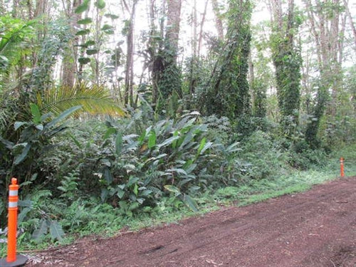 Hawaii, Hawaii County, 1/4 Acre Nanawale Estates, Ginger Road, Lot 507. TERMS $209/Month