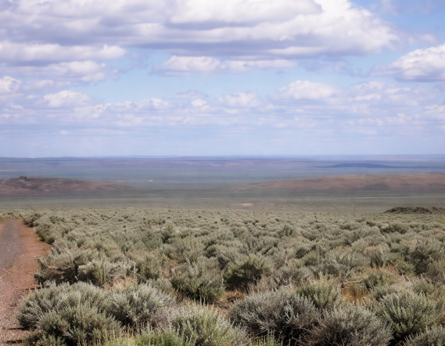 Aerial view of Oregon Lake County Hart Mountain 80-acre land parcel near Hart Lake, showing terrain and surrounding natural features.