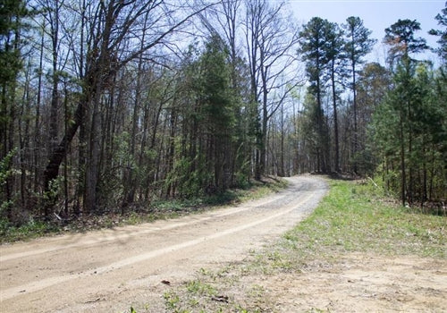20% OFF: Kentucky, Rock Castle County, 12.40 Acres Chestnut Oak Ridge, Lot 21. TERMS $255/Month