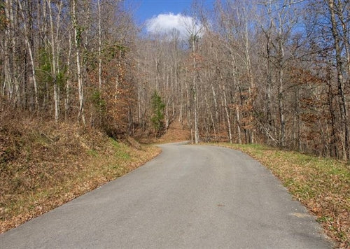 Kentucky, Wayne County, 1.97 Acre The Cliffs, Lot 5, Water View. TERMS $139/Month