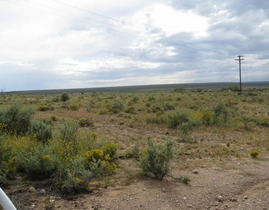 Texas, Hudspeth County, 2.39 Acres La Hacienda Estates , Lot 728. TERMS $65/Month